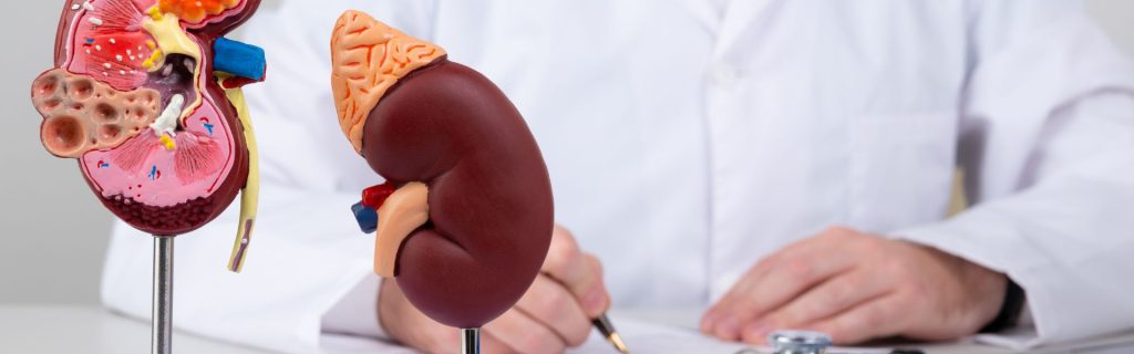 Urologia CleverSalud