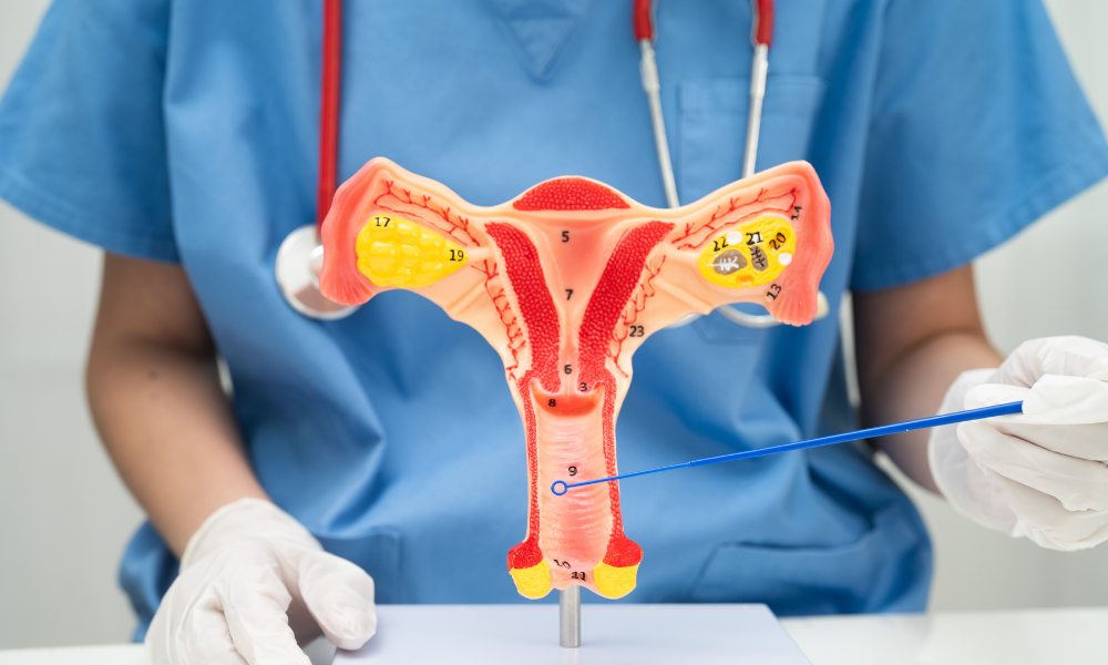 Chequeo ginecológico por edad: guía completa en Clínica CleverSalud