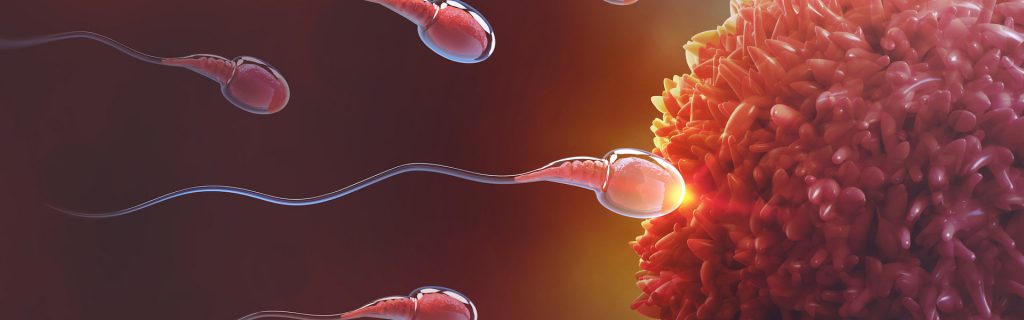 Fertilidad asistida