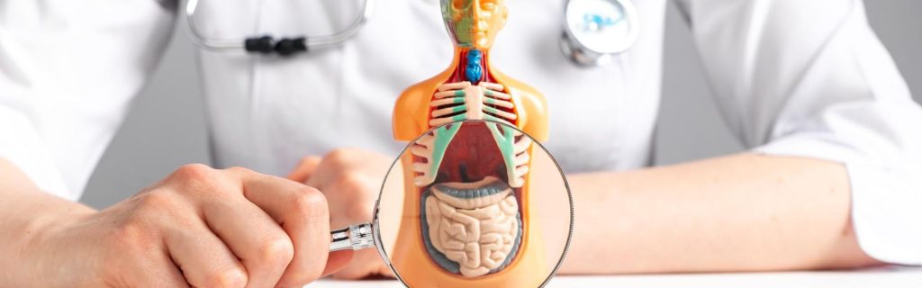 Coloproctología - CleverSalud