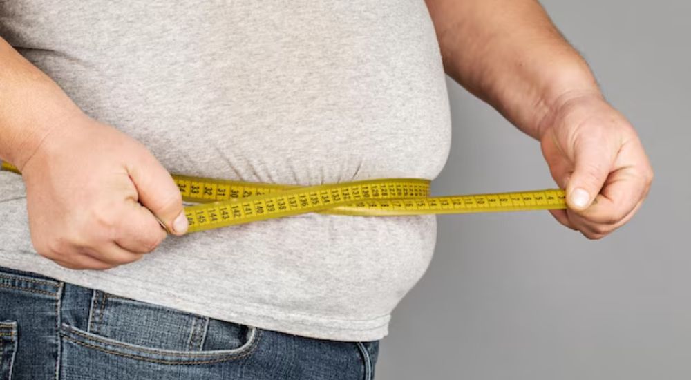 Factores ambientales y genéticos en la obesidad