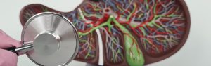 Hepatología - CleverSalud